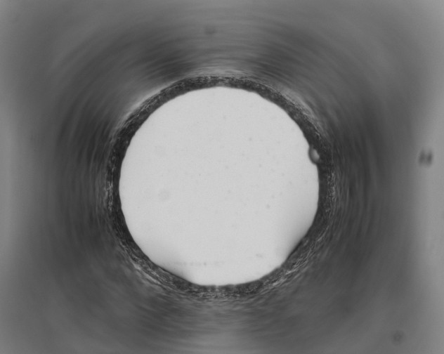 X0000096650872200803041147