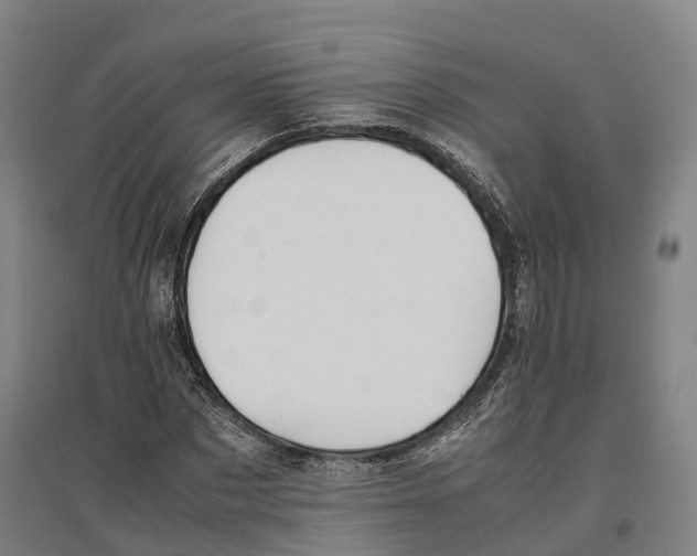 X0000096650873200803041147