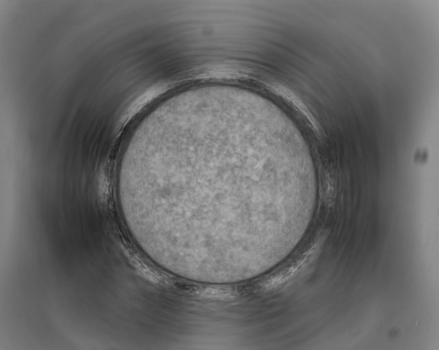 X0000096650874200803041147