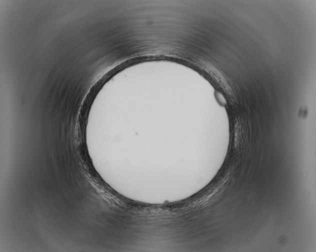 X0000096650876200803041147