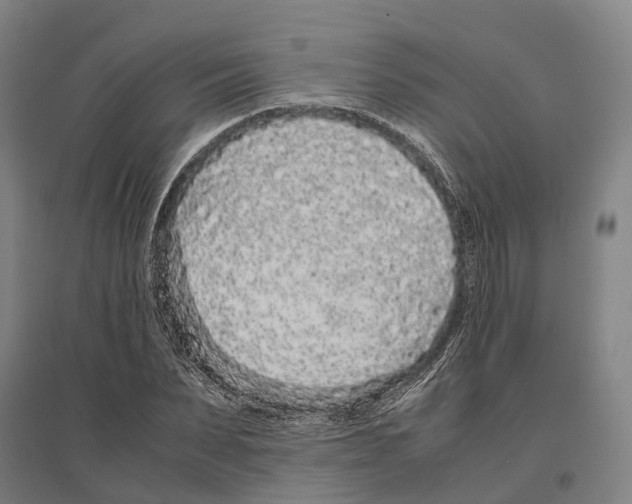 X0000096650879200803041147