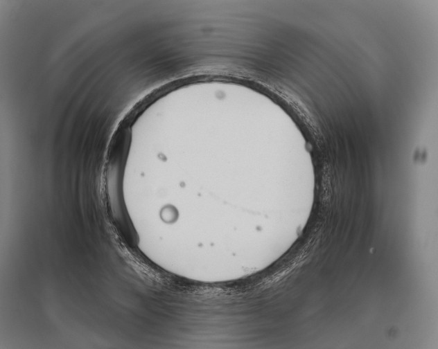 X0000096650880200803041147