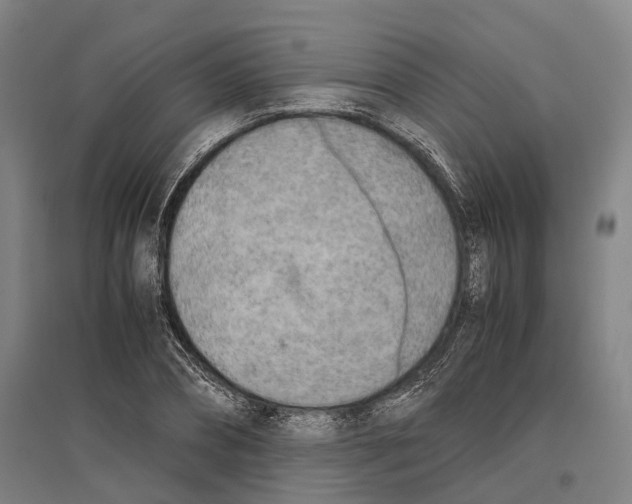 X0000096650882200803041147