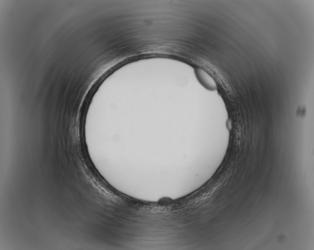 X0000096650884200803041147