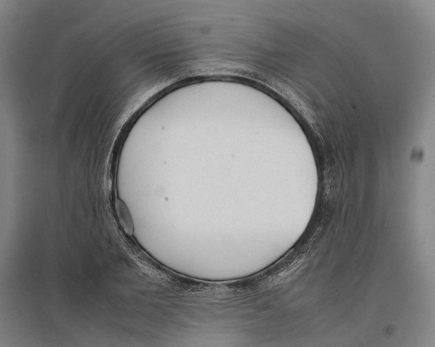 X0000096650885200803041147