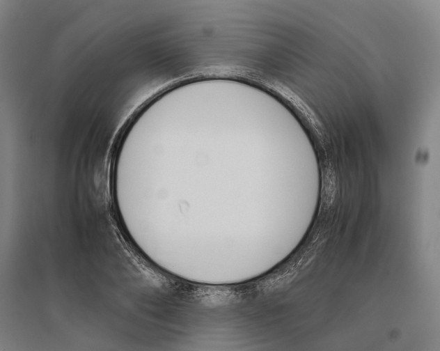 X0000096650886200803041147