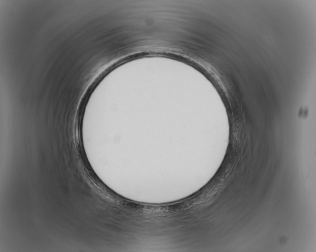 X0000096650887200803041147