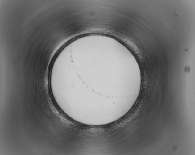 X0000096650888200803041147