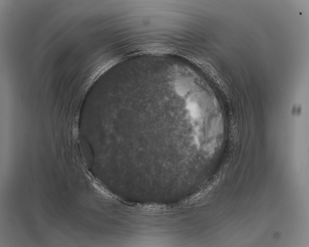 X0000096650889200803041147