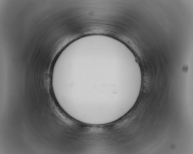 X0000096650890200803041147