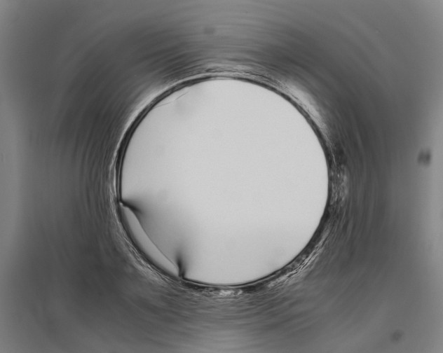 X0000096650891200803041147