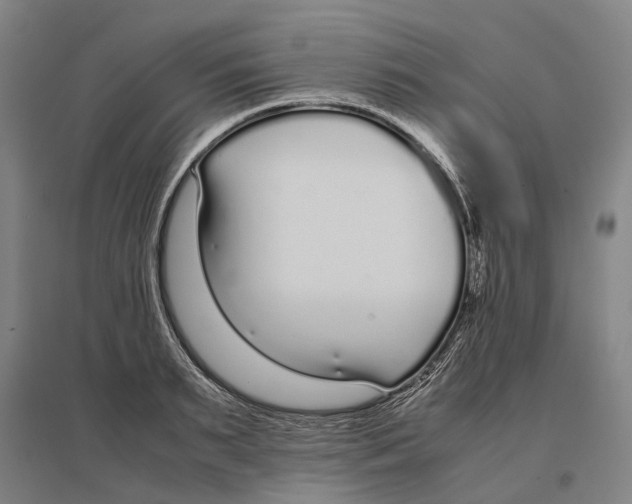 X0000096650895200803041147