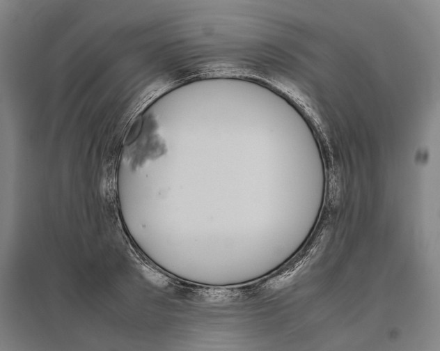 X0000096650897200803041146