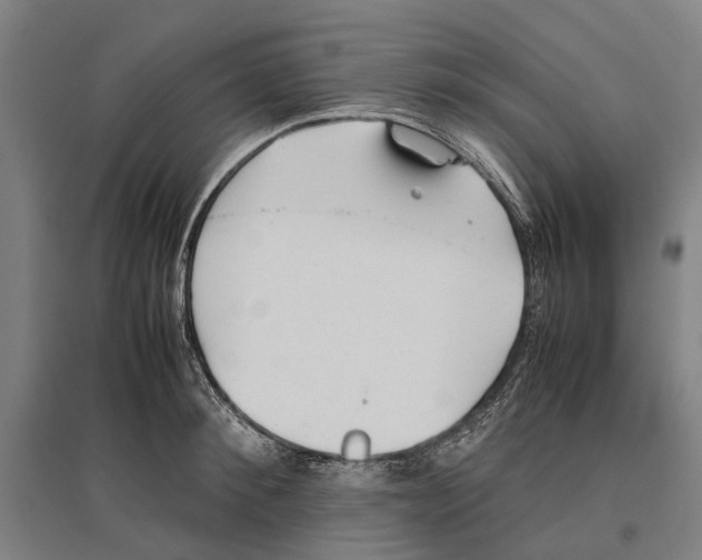 X0000096650900200803041146