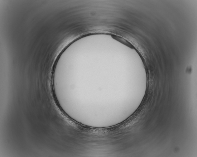 X0000096650901200803041146