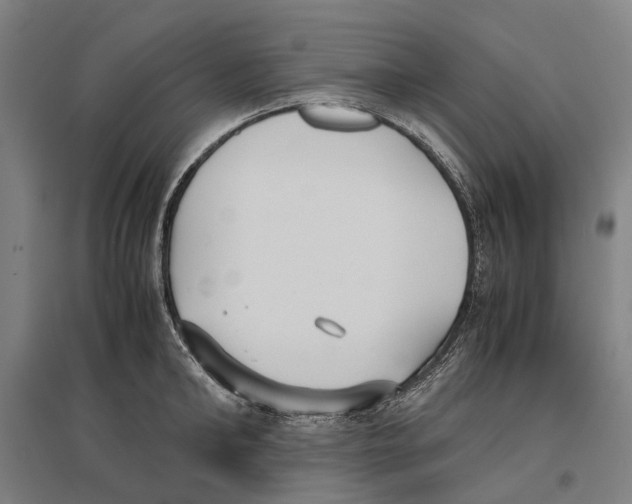 X0000096650902200803041146