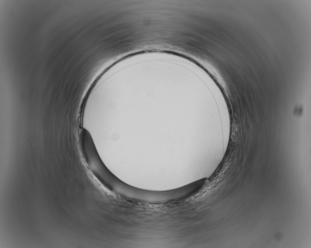 X0000096650903200803041146