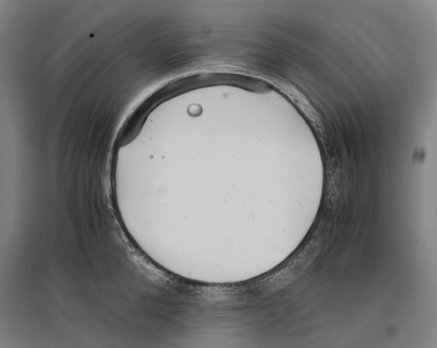 X0000096650904200803041146