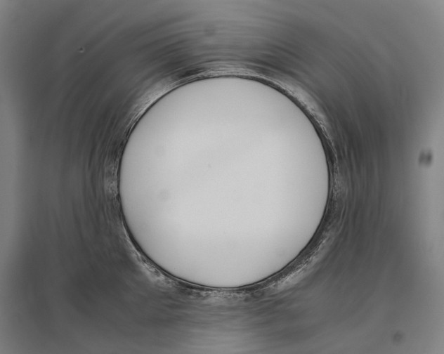 X0000096650905200803041146