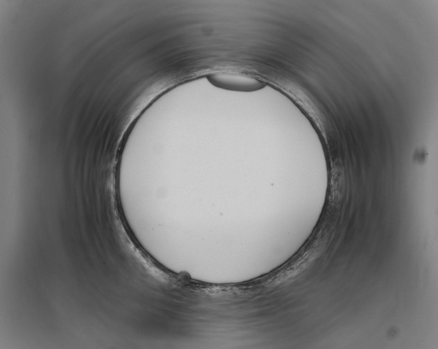 X0000096650906200803041146