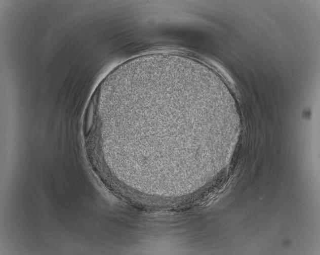 X0000096650907200803041146