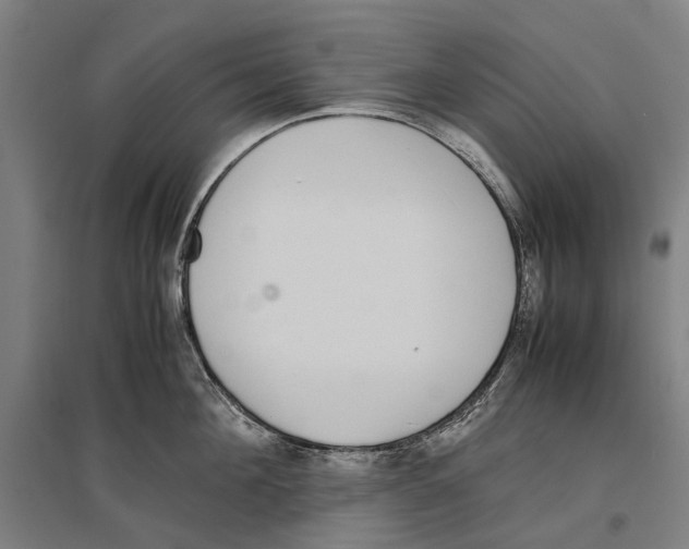 X0000096650908200803041146