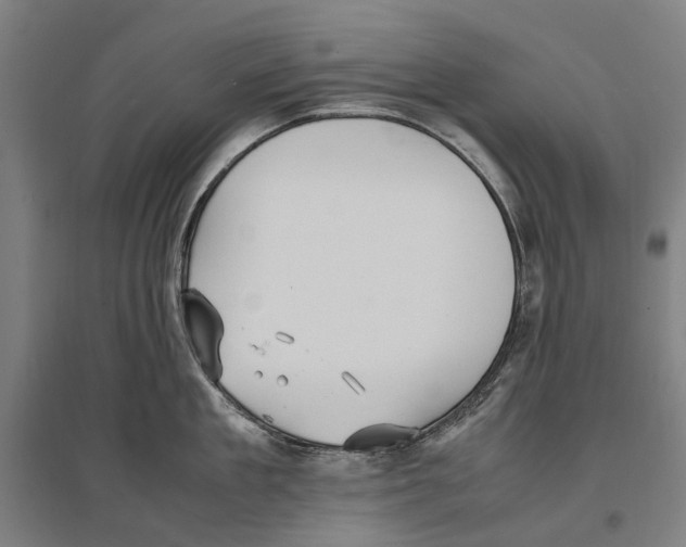 X0000096650909200803041146