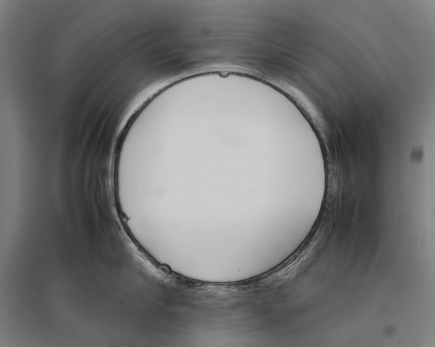 X0000096650910200803041146