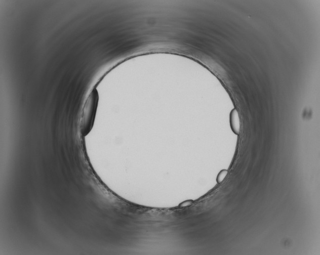 X0000096650912200803041146