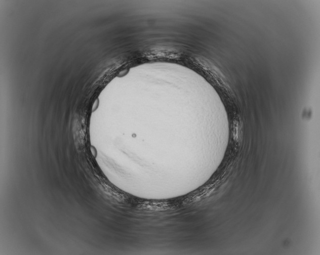 X0000096650915200803041146