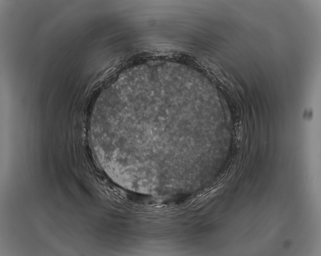 X0000096650916200803041146