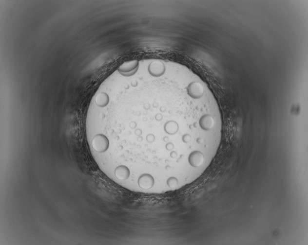 X0000096650917200803041146