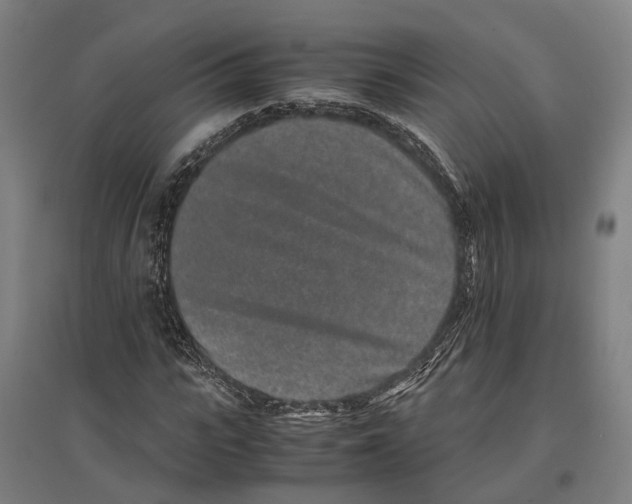 X0000096650919200803041146