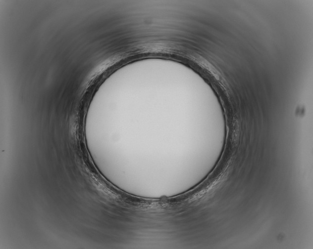 X0000096650922200803041146