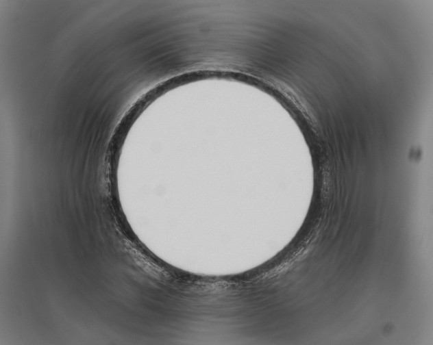 X0000096650926200803041146