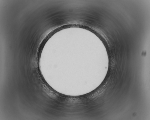 X0000096650927200803041146