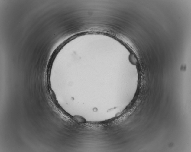 X0000096650928200803041146