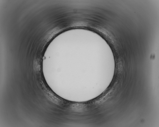 X0000096650929200803041146