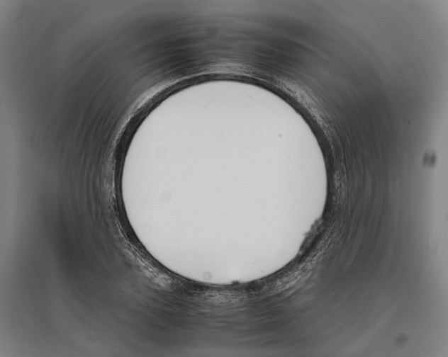 X0000096650931200803041146