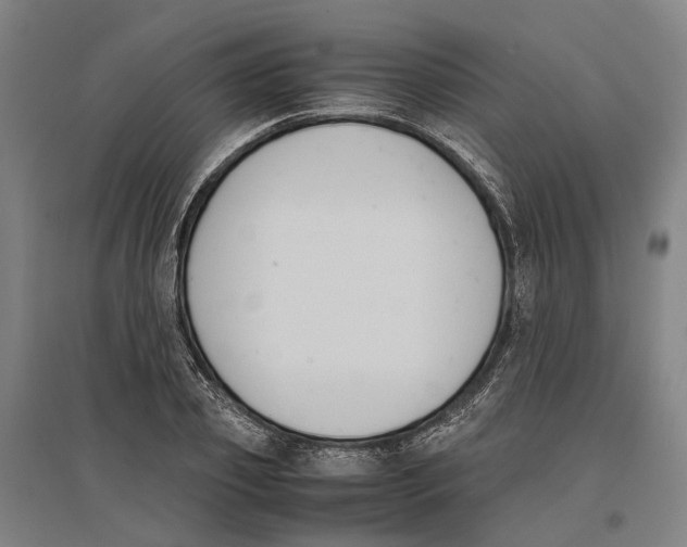 X0000096650933200803041146