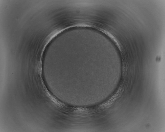 X0000096650935200803041146