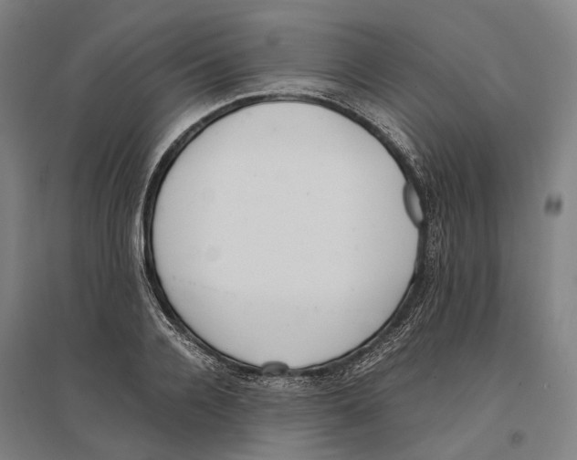 X0000096650936200803041146