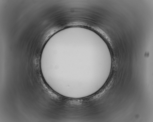 X0000096650937200803041146