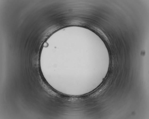 X0000096650938200803041146