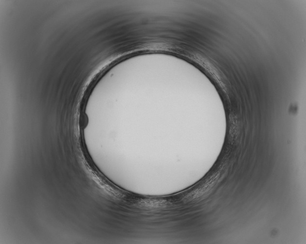 X0000096650939200803041146