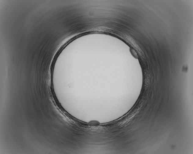 X0000096650940200803041146