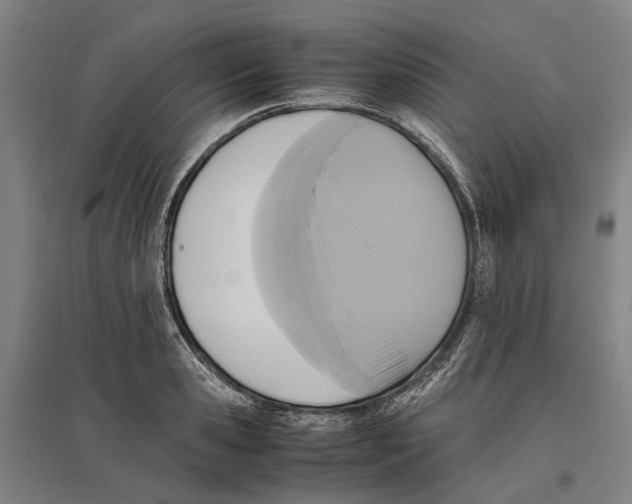 X0000096650941200803041146