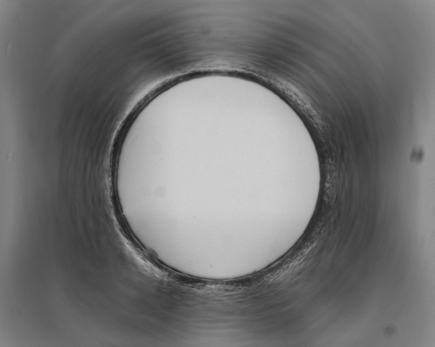 X0000096650942200803041146