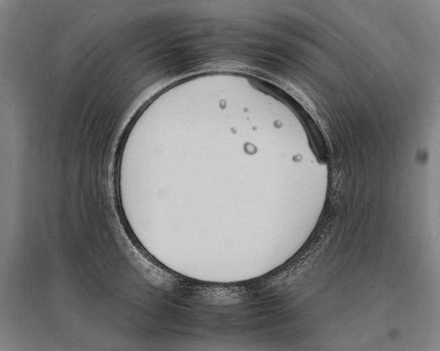 X0000096650947200803041146