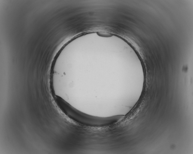 X0000096650949200803041146